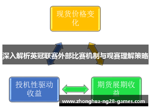 深入解析英冠联赛外部比赛机制与观赛理解策略 深入解析英冠联赛外部比赛机制与观赛理解策略