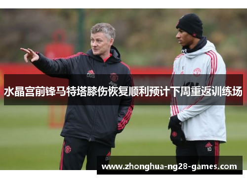 水晶宫前锋马特塔膝伤恢复顺利预计下周重返训练场 水晶宫前锋马特塔膝伤恢复顺利预计下周重返训练场