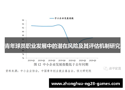 青年球员职业发展中的潜在风险及其评估机制研究